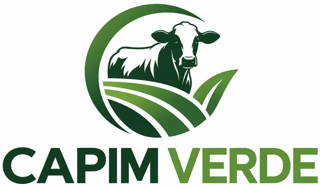 LOGO-MENOR